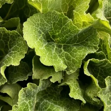 Rapini Ripassati Recipe: A Flavorful Italian Side Dish