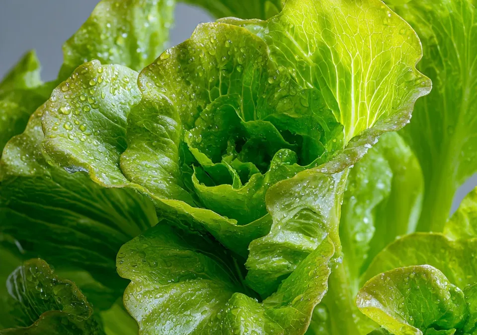 Bright Spring Salad