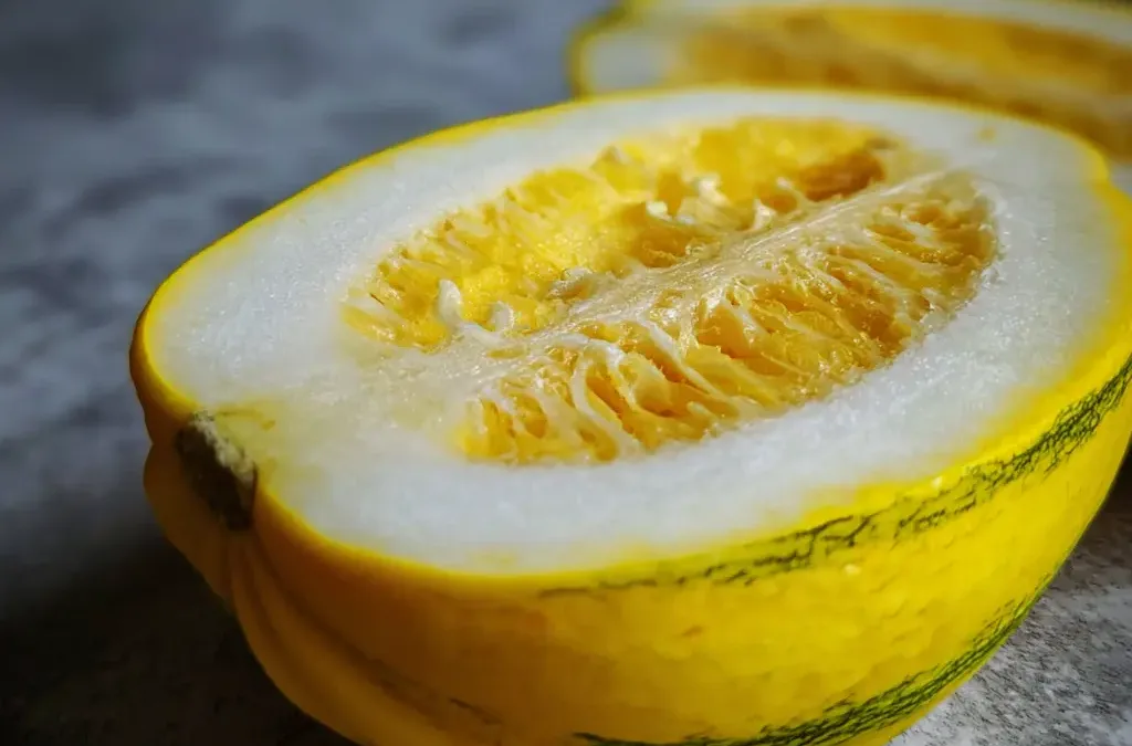 yellow squash recipes