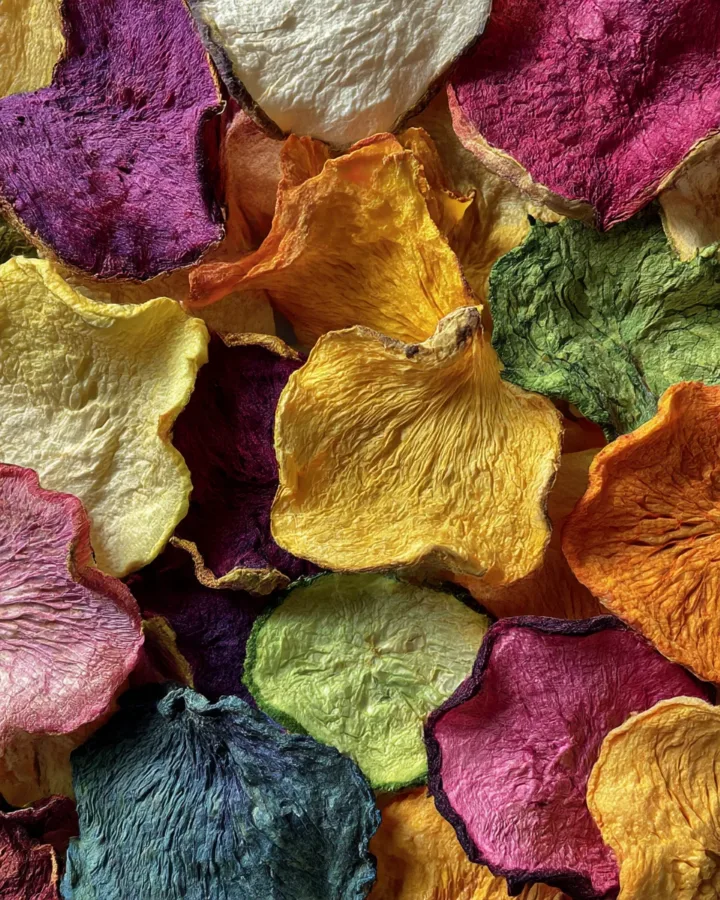 Dehydrated Vegetable Chips Mix