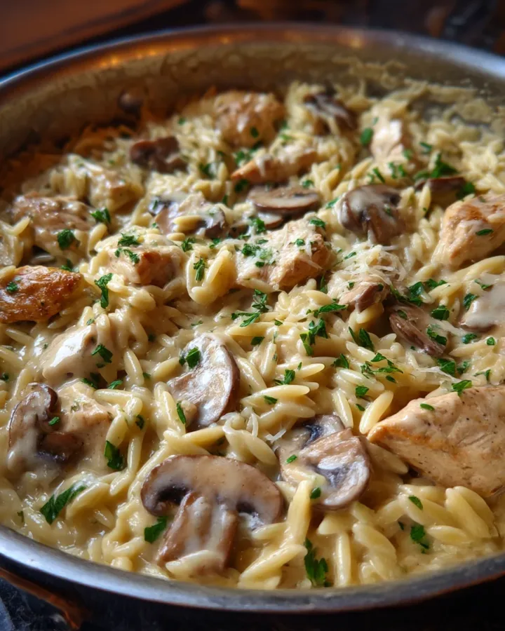Creamy Mushroom Chicken Orzo